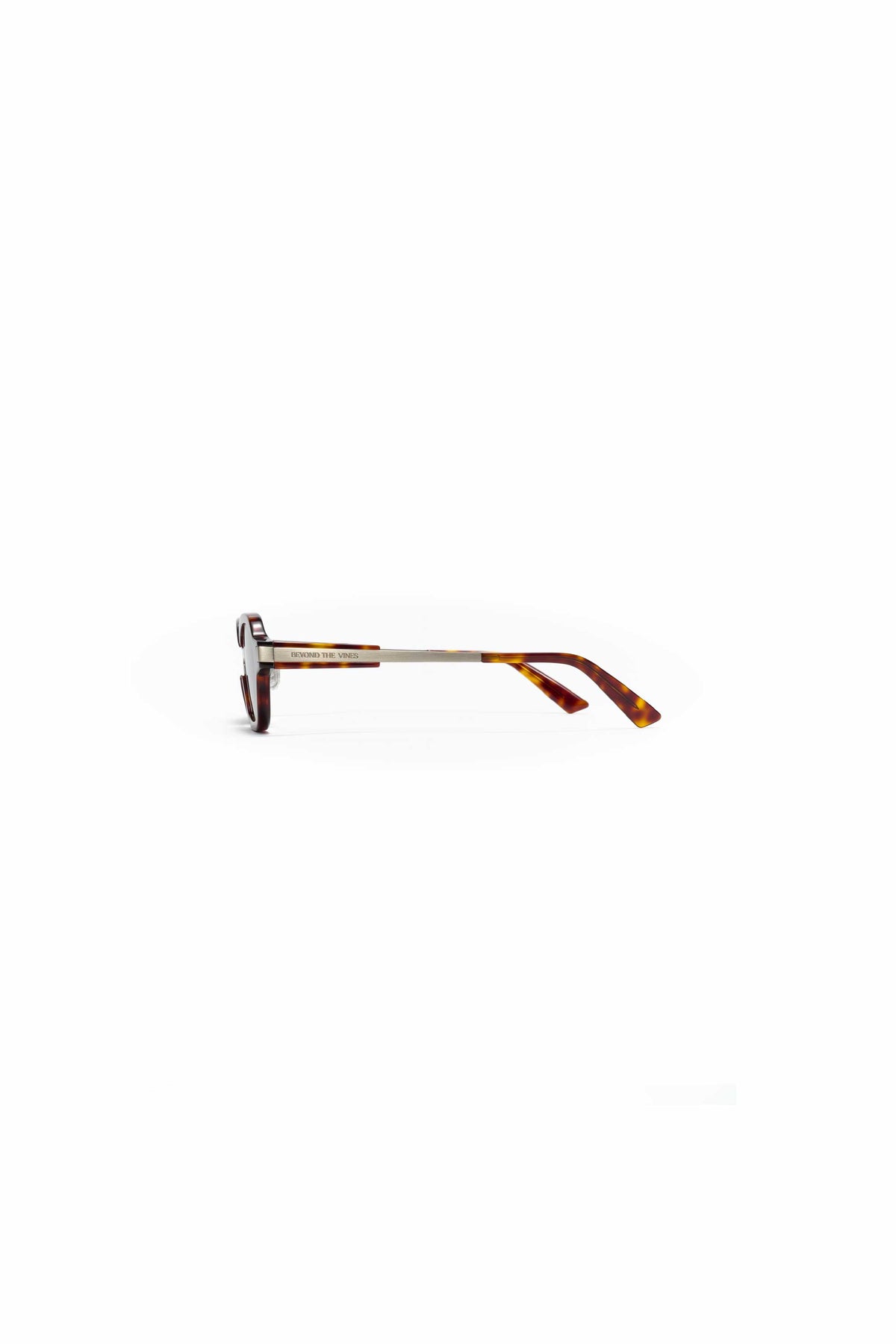 Tortoise Shell