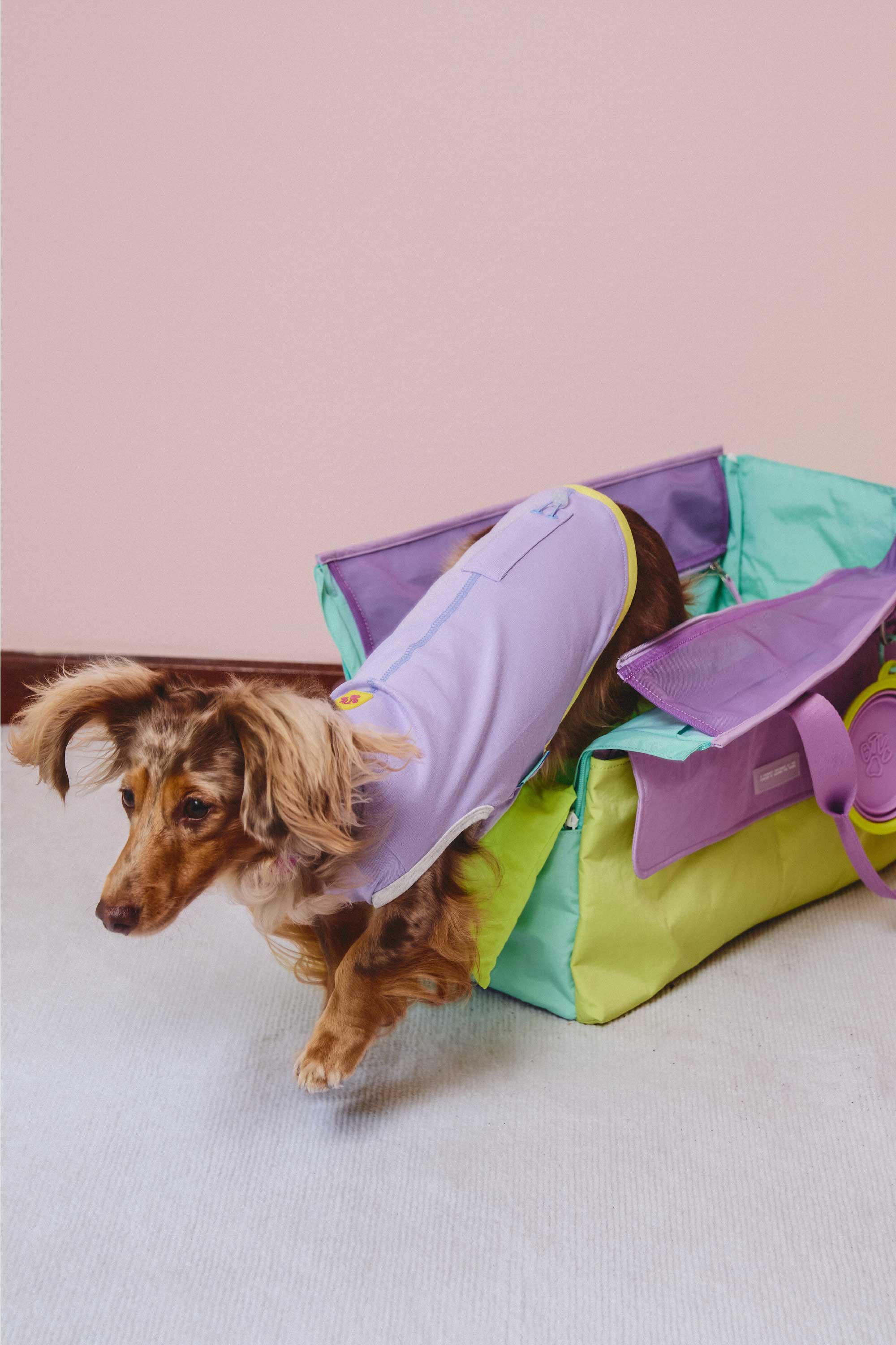 Mint/Lilac