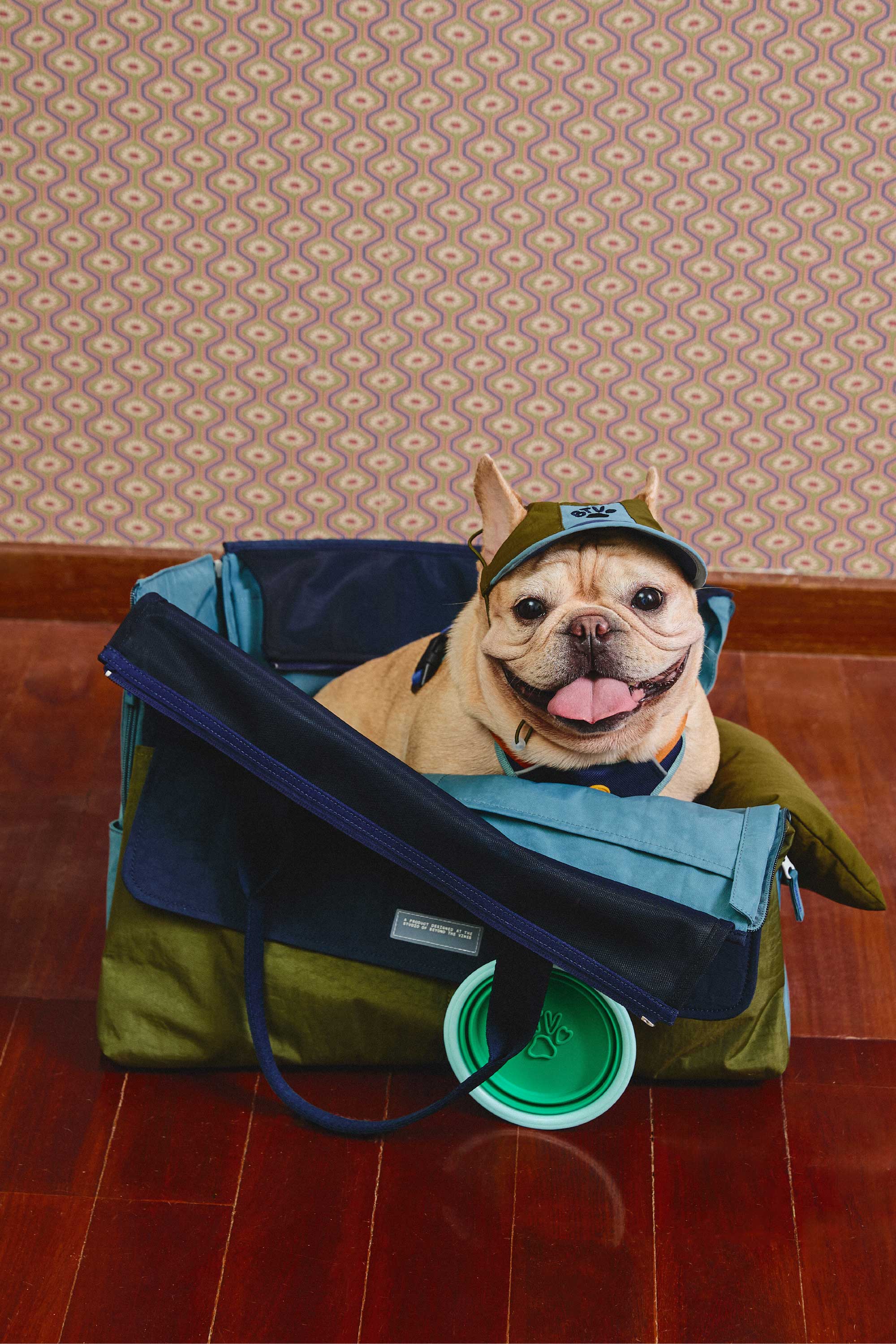 Olive/Navy