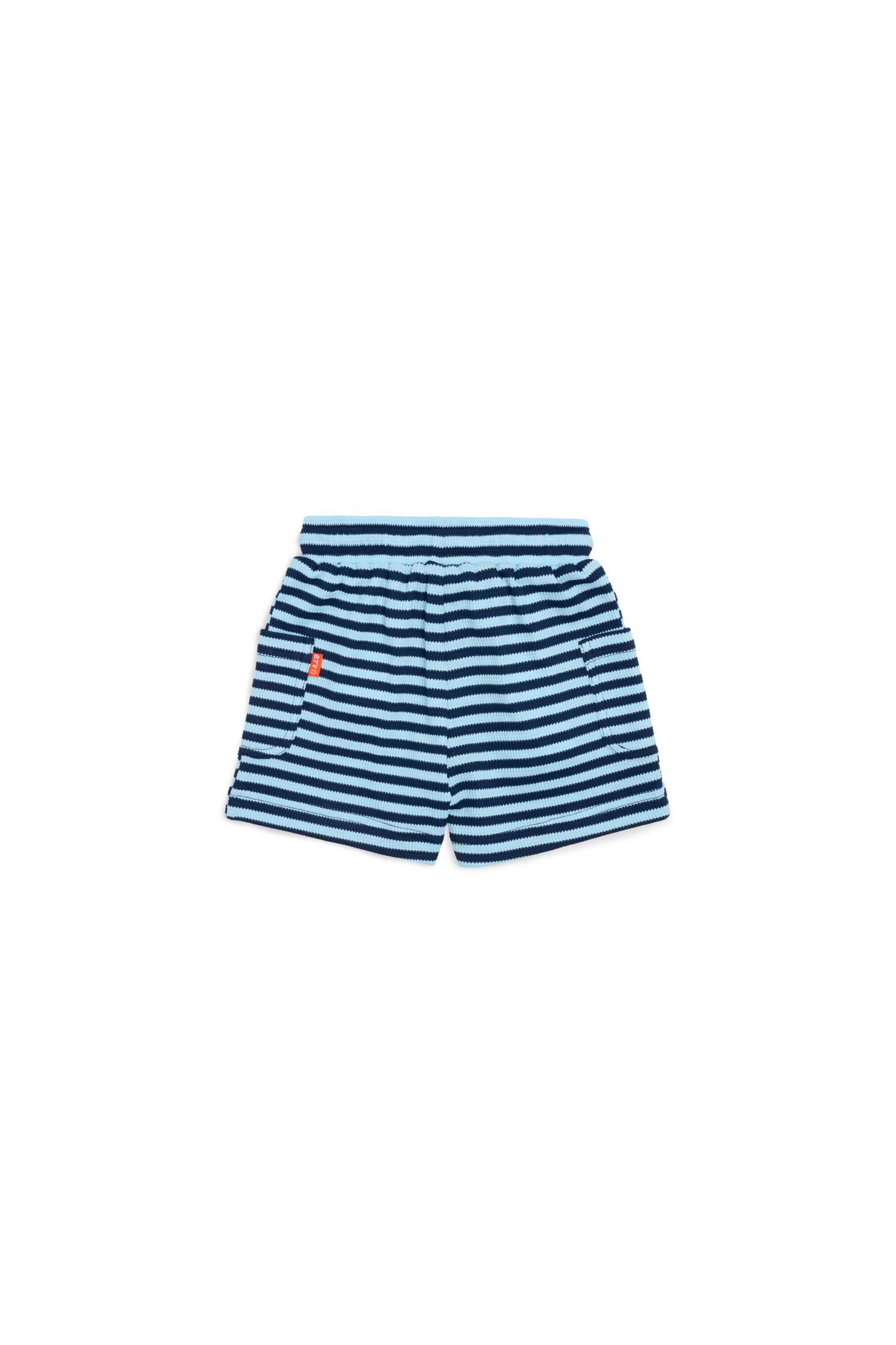 Navy Stripes