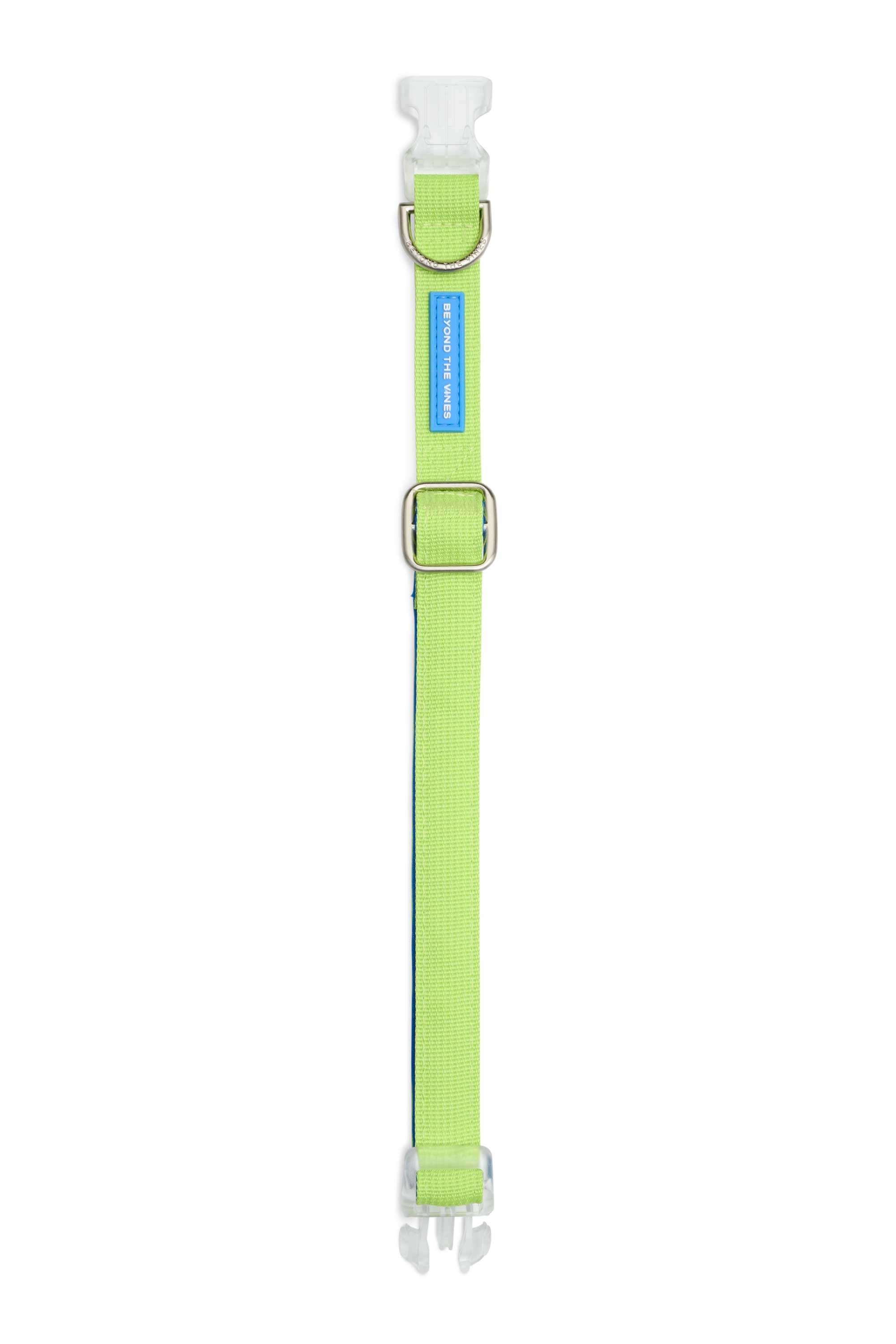 Neon Green Colourblock